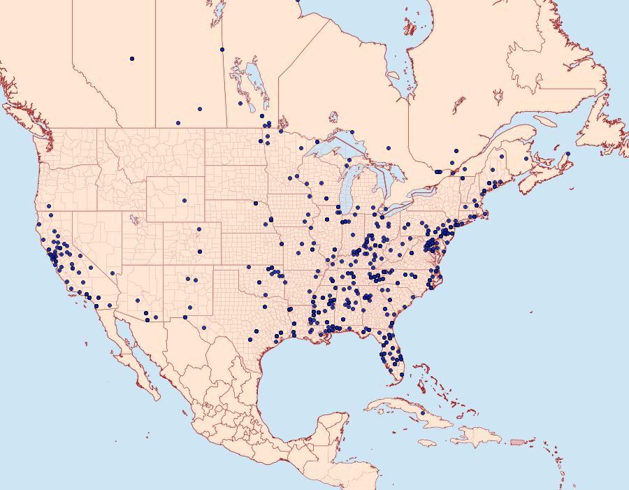 Distribution Data for Clepsis peritana