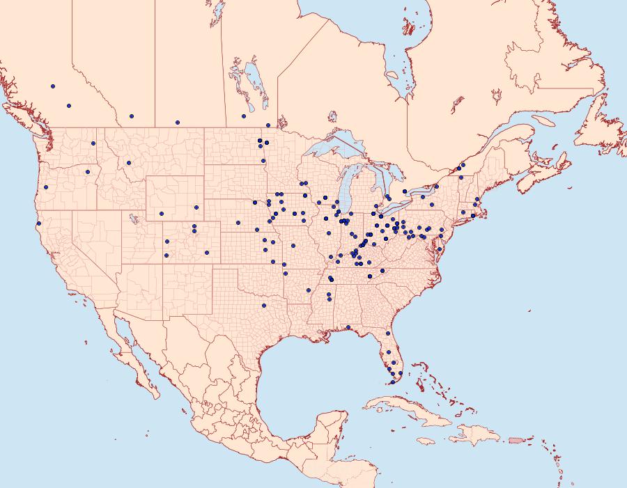 Distribution Data for Xenotemna pallorana