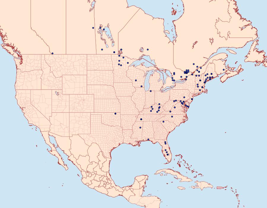 Distribution Data for Sparganothis tristriata