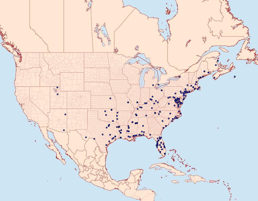 Distribution Data for Sparganothis distincta