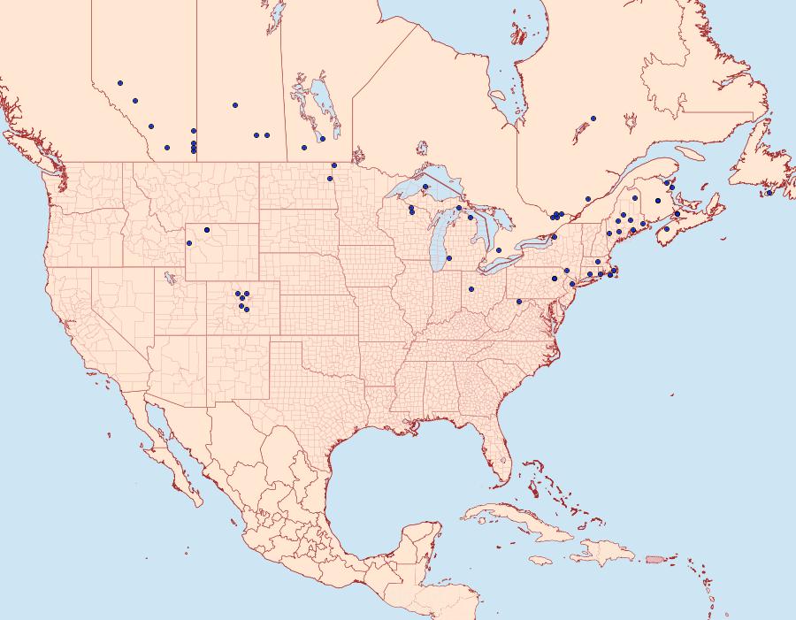 Distribution Data for Sparganothis boweri