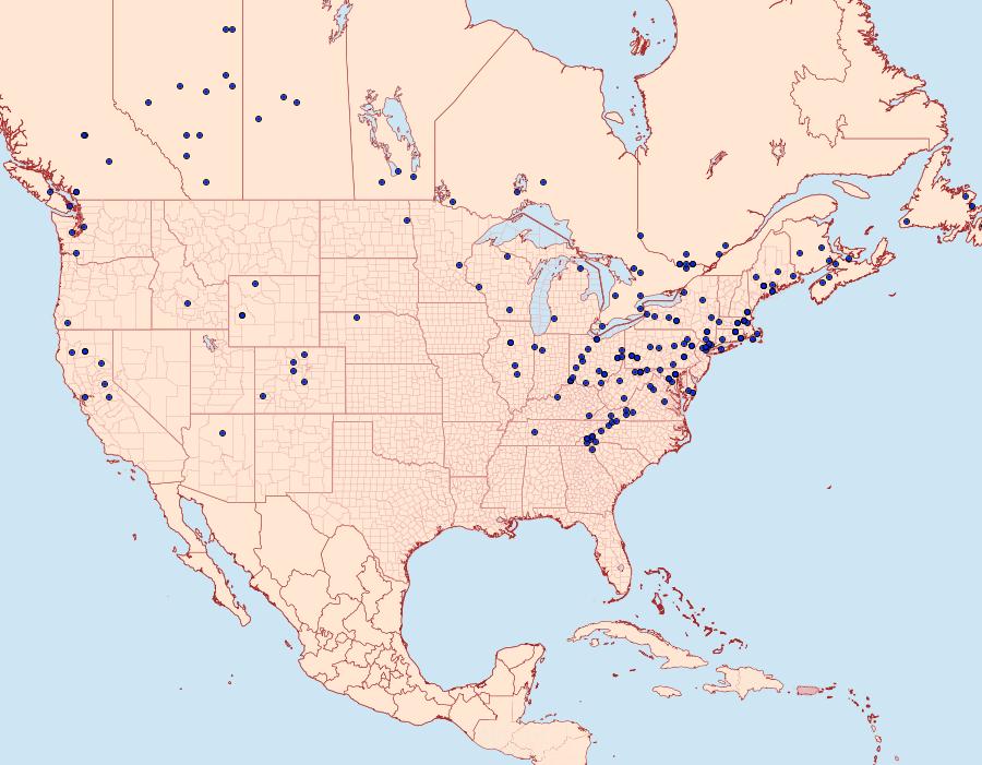 Distribution Data for Sparganothis xanthoides