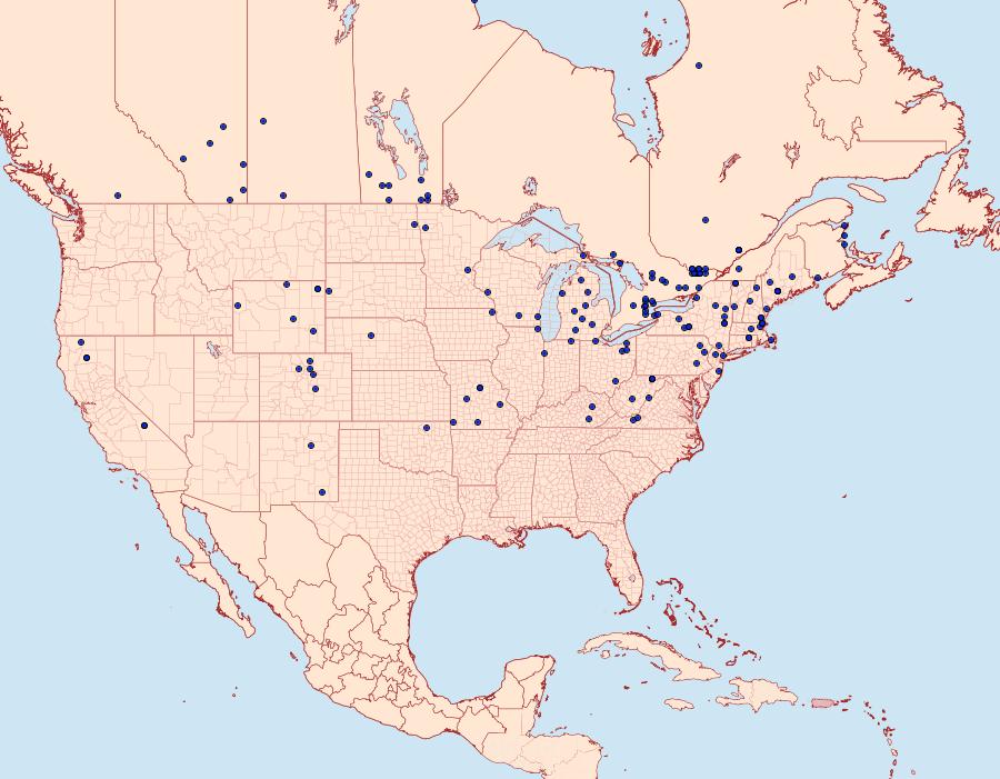 Distribution Data for Sparganothis unifasciana