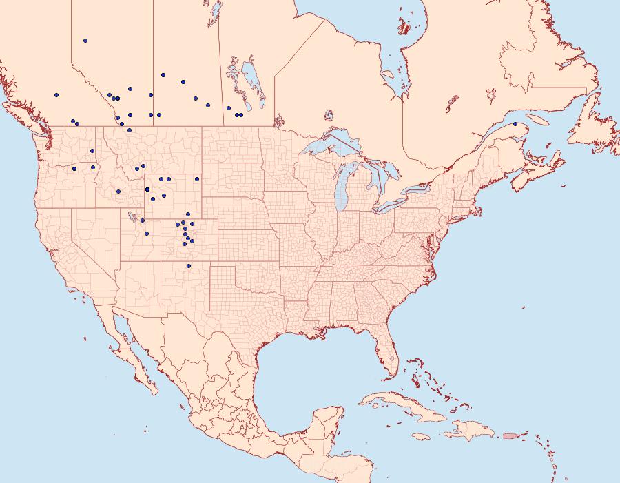 Distribution Data for Sparganothis vocaridorsana