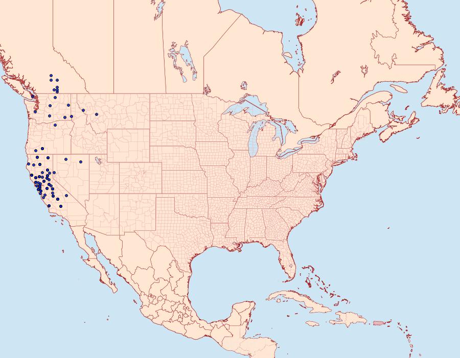 Distribution Data for Sparganothis tunicana