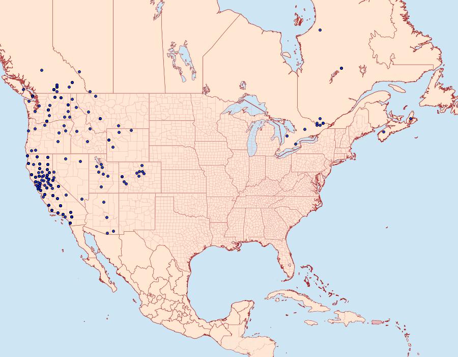 Distribution Data for Sparganothis senecionana