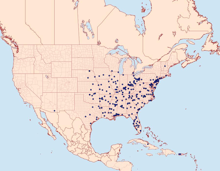 Distribution Data for Acrolophus plumifrontella