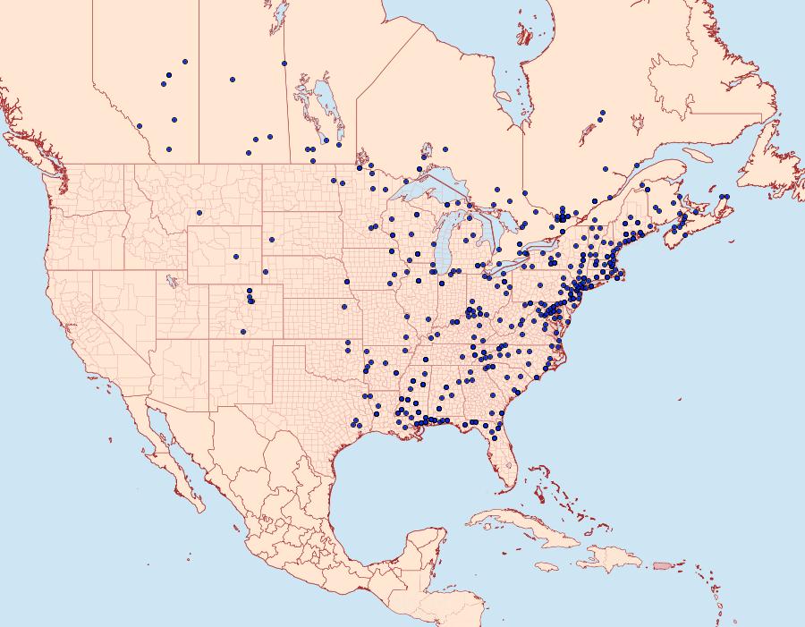 Distribution Data for Cenopis reticulatana