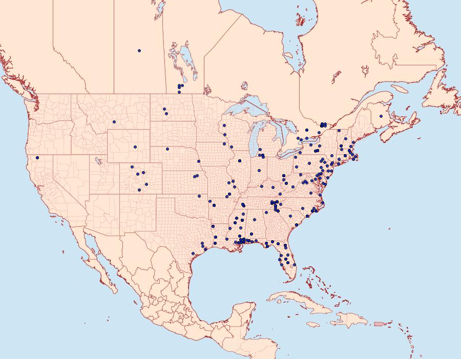 Distribution Data for Cenopis directana