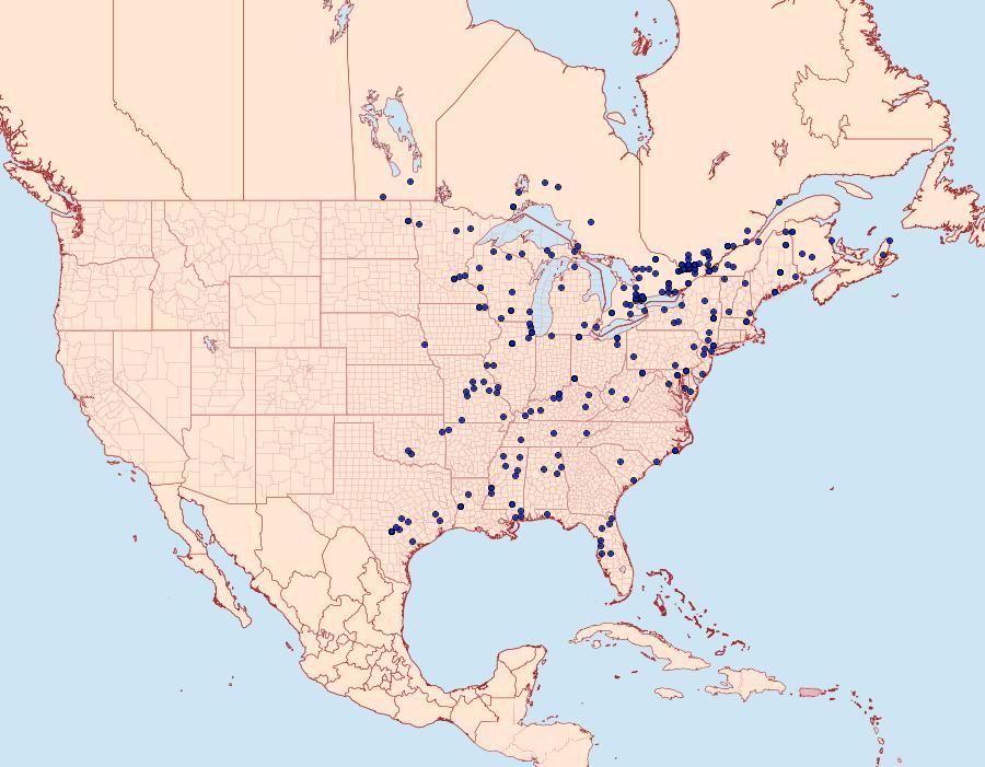 Distribution Data for Cenopis pettitana