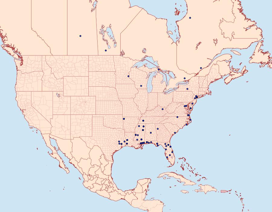 Distribution Data for Cenopis cana