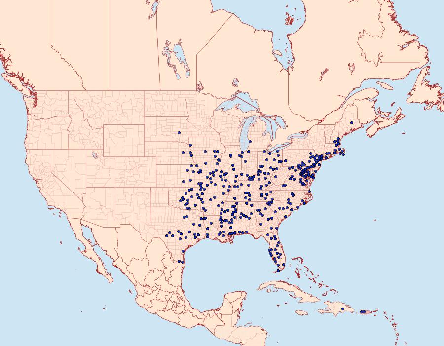 Distribution Data for Platynota flavedana