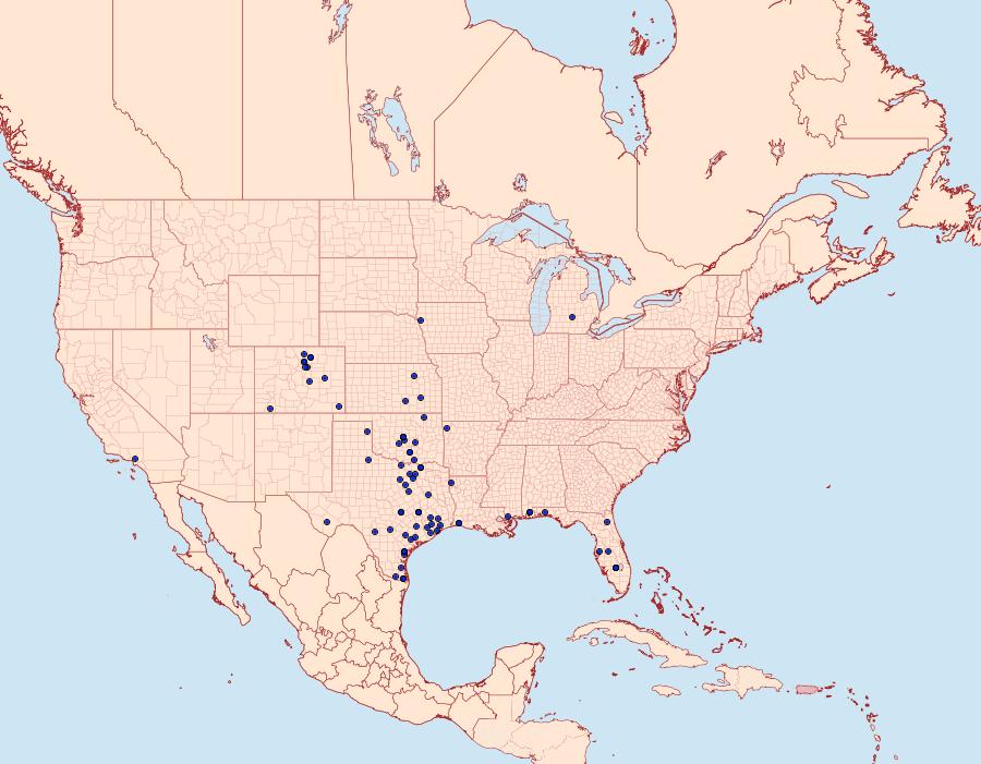 Distribution Data for Platynota nigrocervina