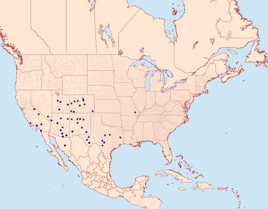 Distribution Data for Platynota labiosana