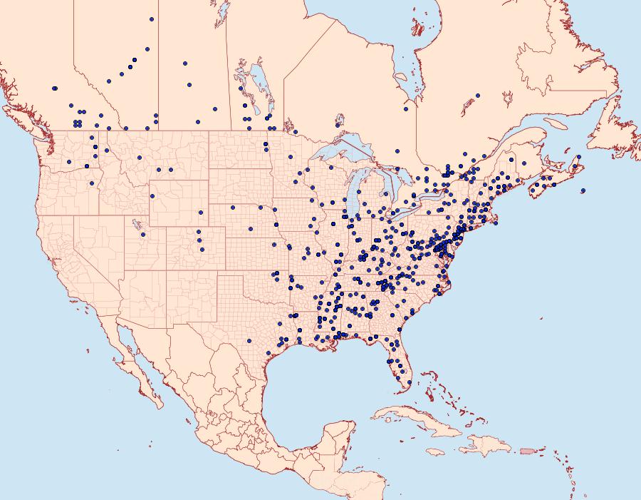 Distribution Data for Platynota idaeusalis