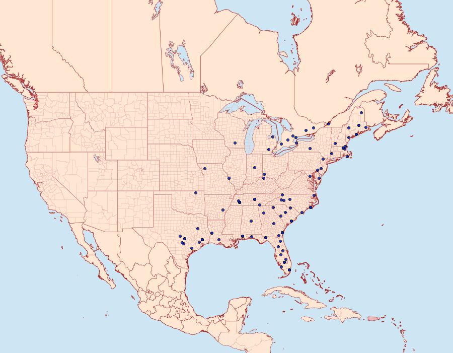 Distribution Data for Platynota semiustana