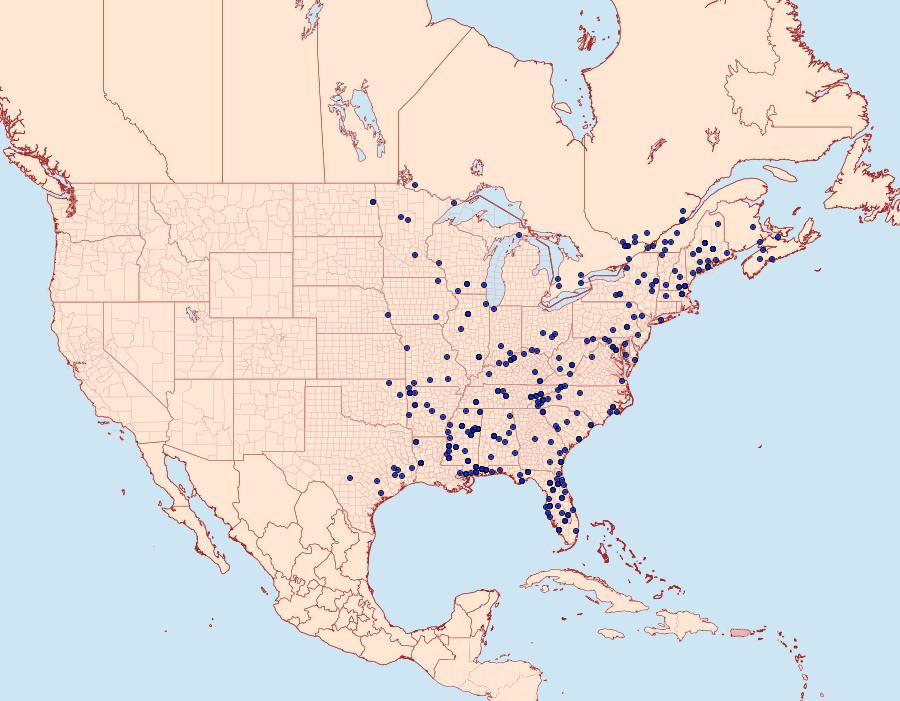 Distribution Data for Platynota exasperatana