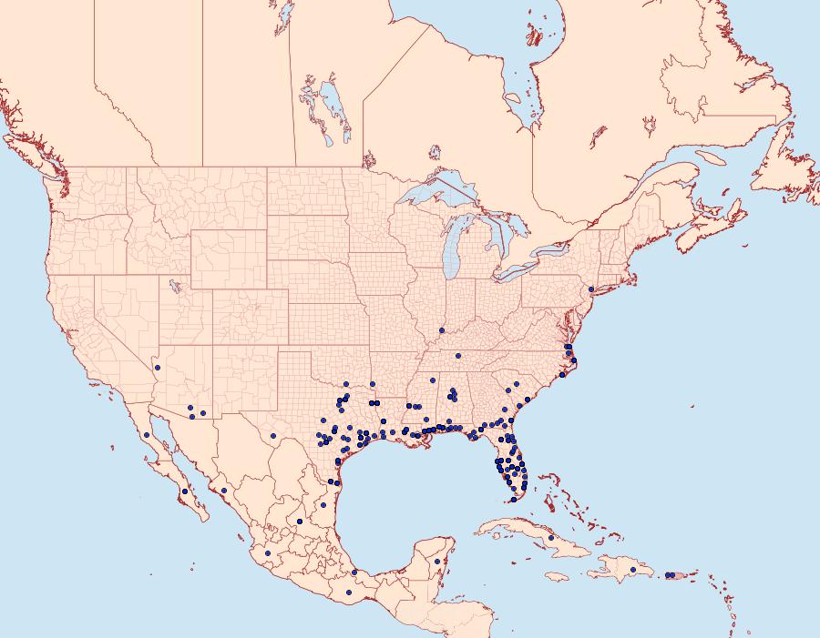 Distribution Data for Platynota rostrana