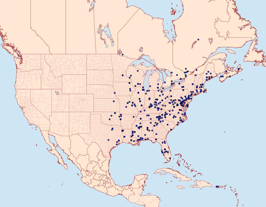 Distribution Data for Coelostathma discopunctana