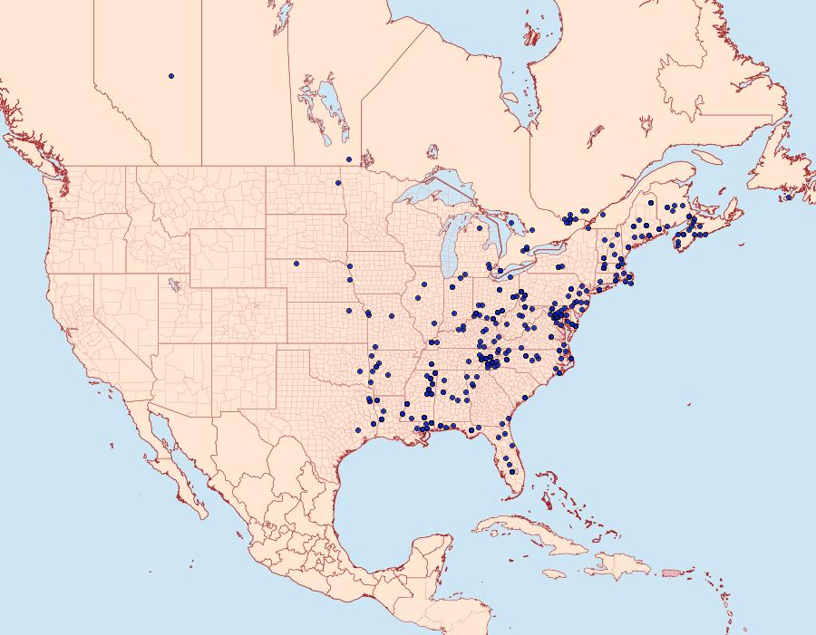 Distribution Data for Amorbia humerosana