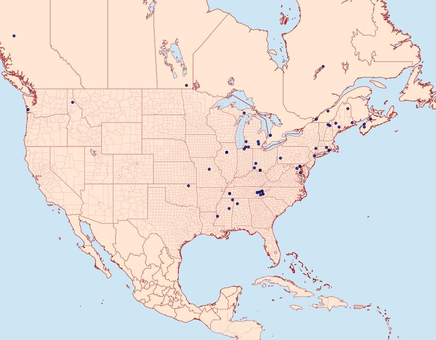 Distribution Data for Aethes promptana