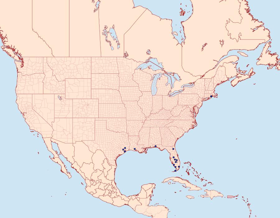 Distribution Data for Lorita baccharivora