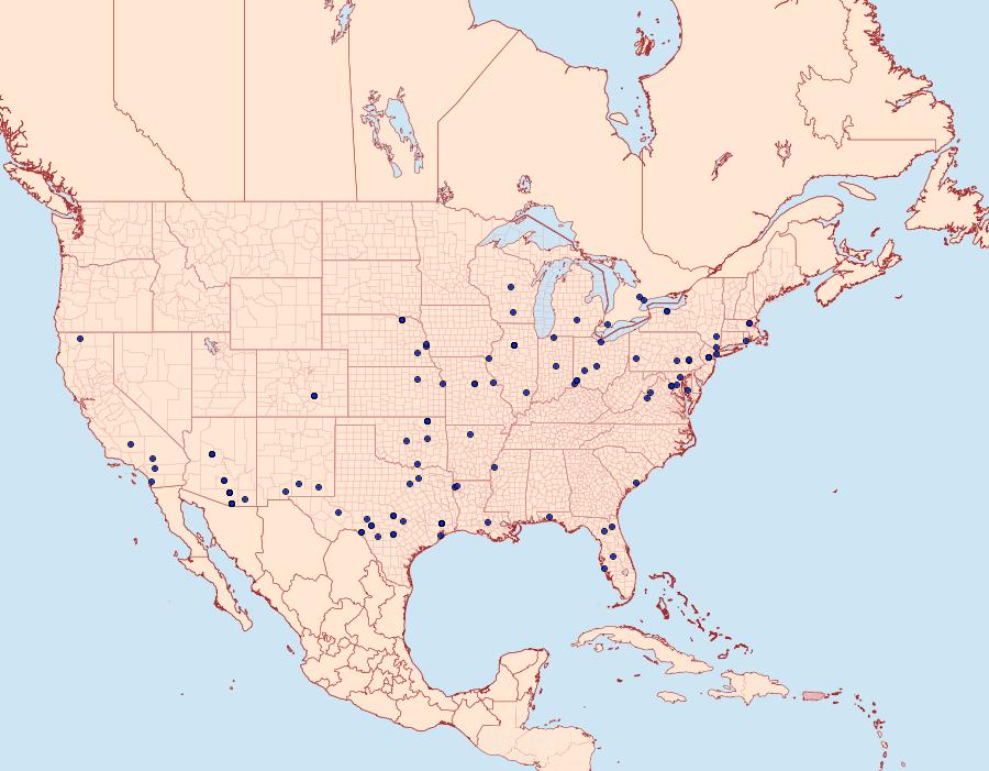 Distribution Data for Rudenia leguminana