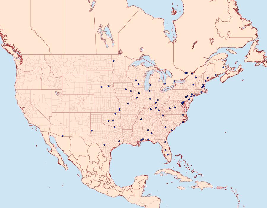 Distribution Data for Atroposia oenotherana