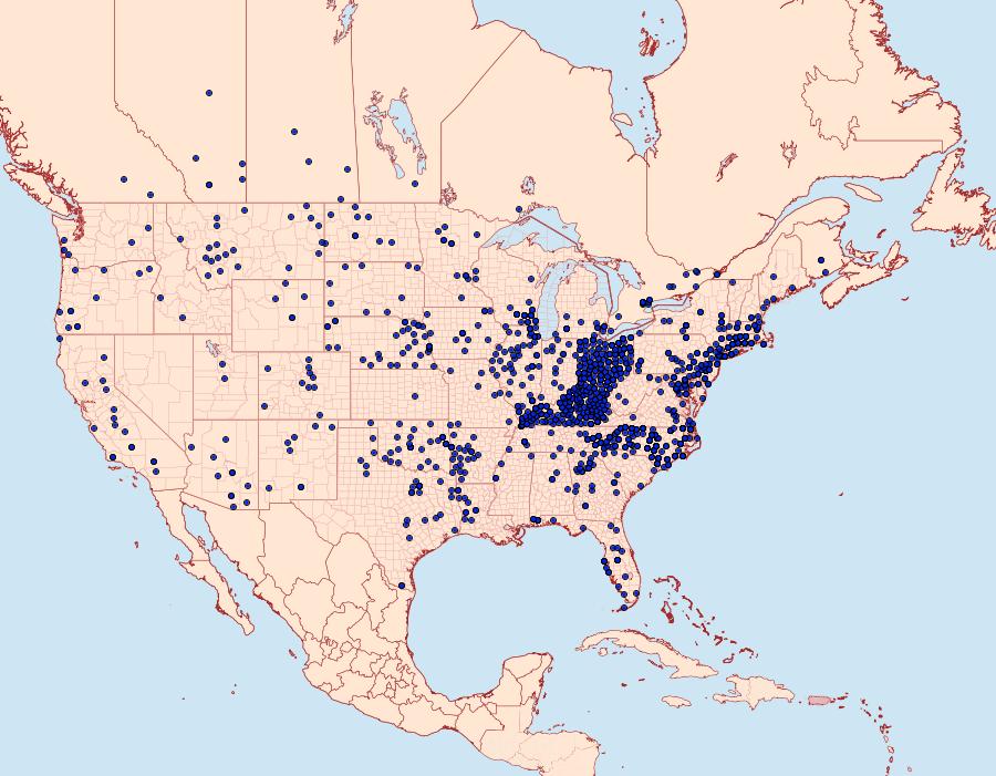 Distribution Data for Epargyreus clarus