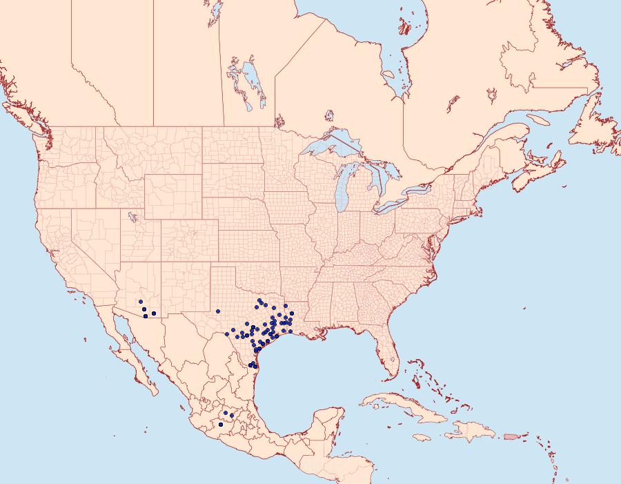 Distribution Data for Chioides albofasciatus