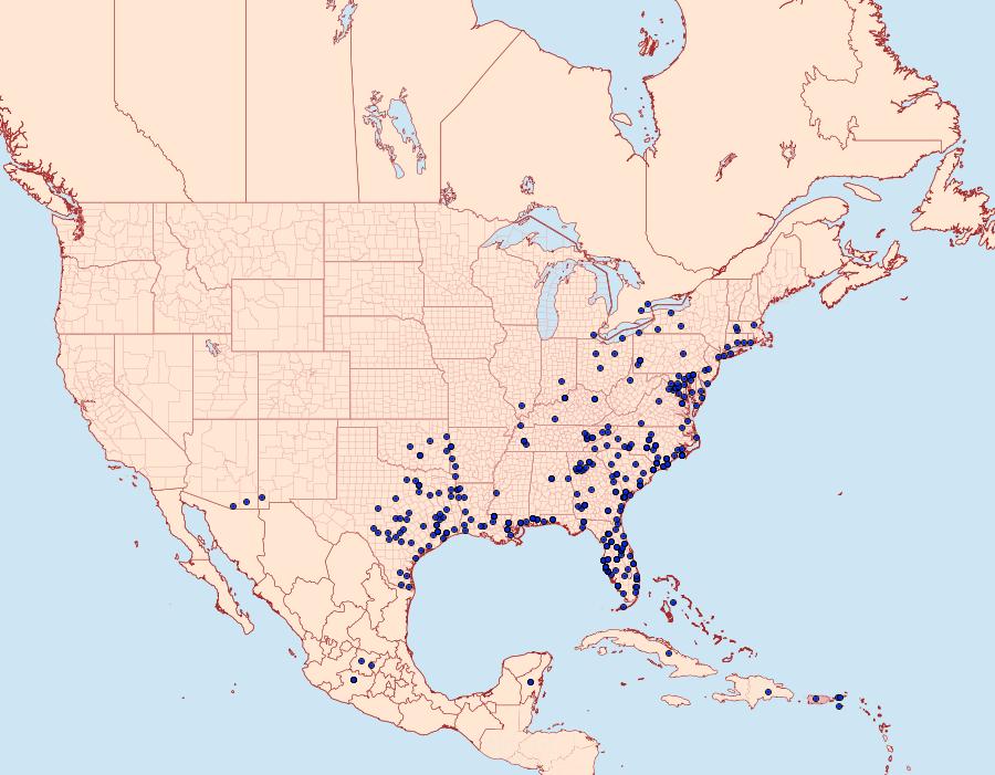 Distribution Data for Urbanus proteus