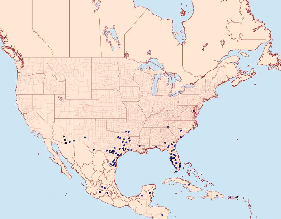 Distribution Data for Thorybes dorantes