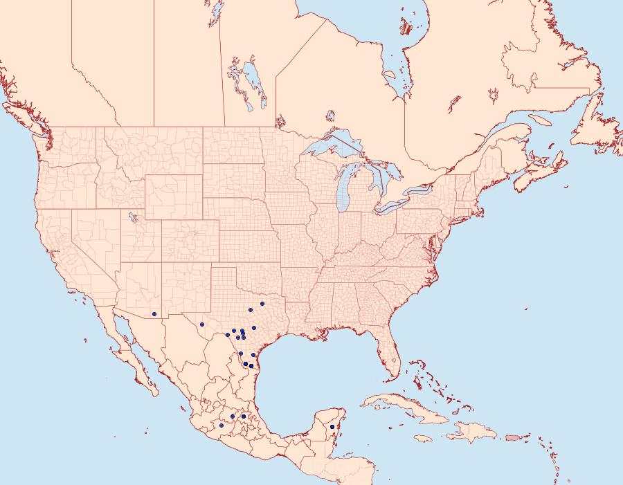 Distribution Data for Telegonus catemacoensis