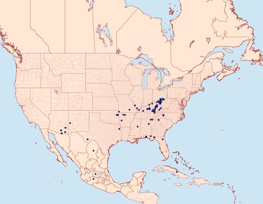 Distribution Data for Telegonus cellus