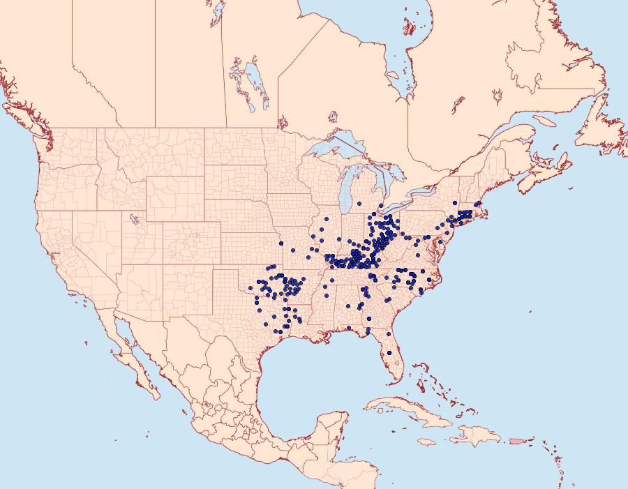 Distribution Data for Thorybes lyciades