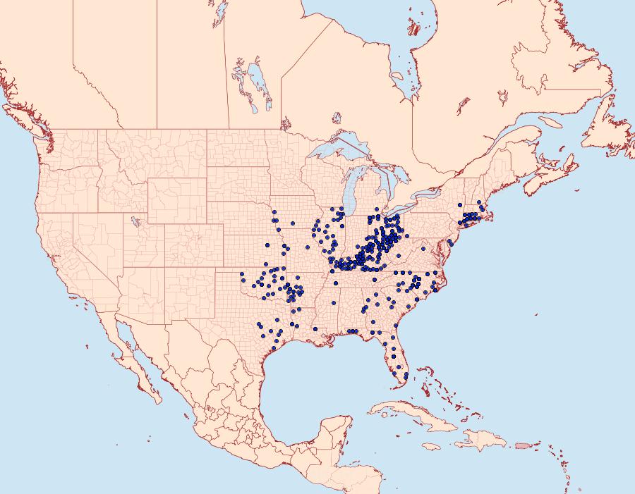 Distribution Data for Thorybes bathyllus