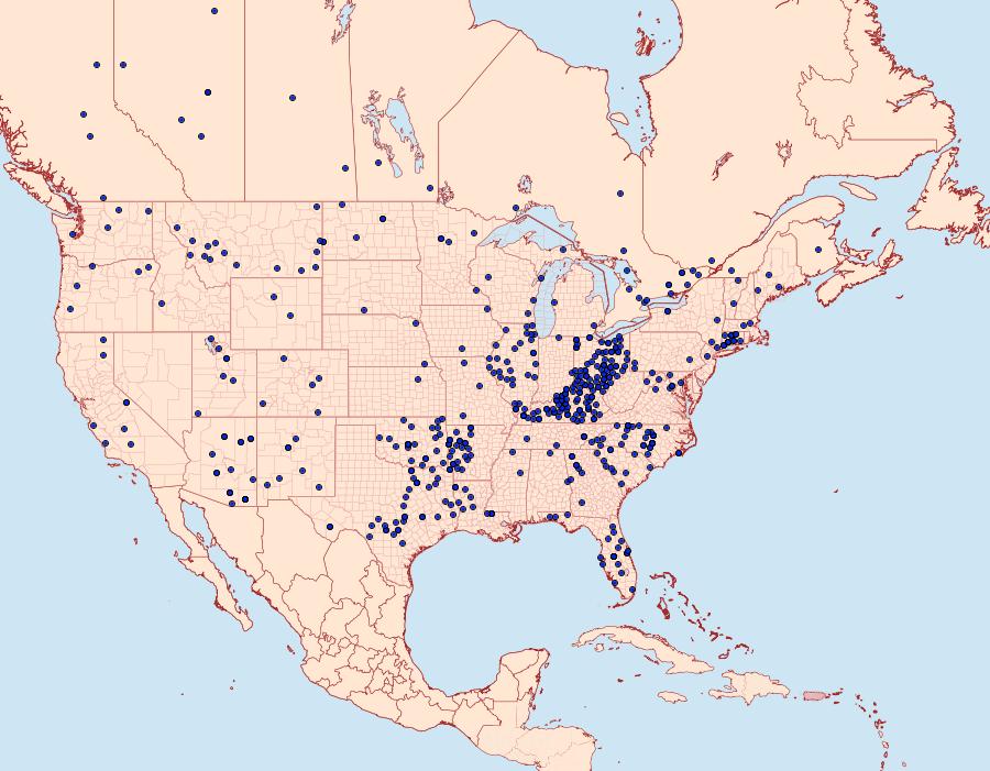 Distribution Data for Thorybes pylades