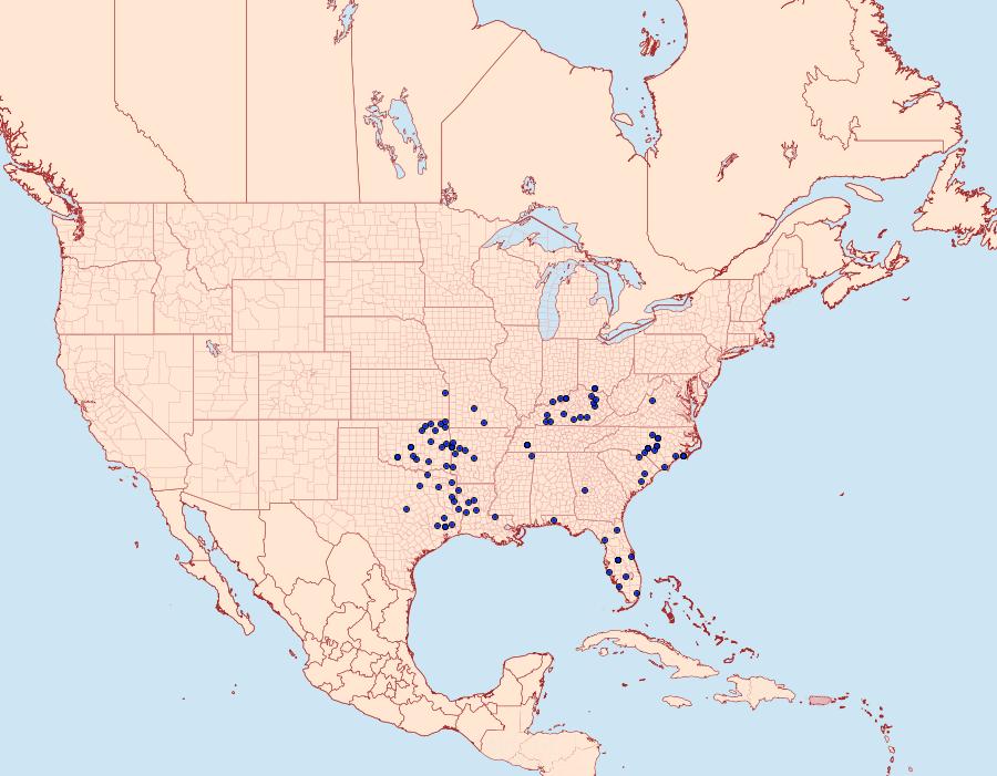 Distribution Data for Thorybes confusis