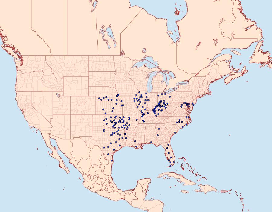 Distribution Data for Staphylus hayhurstii