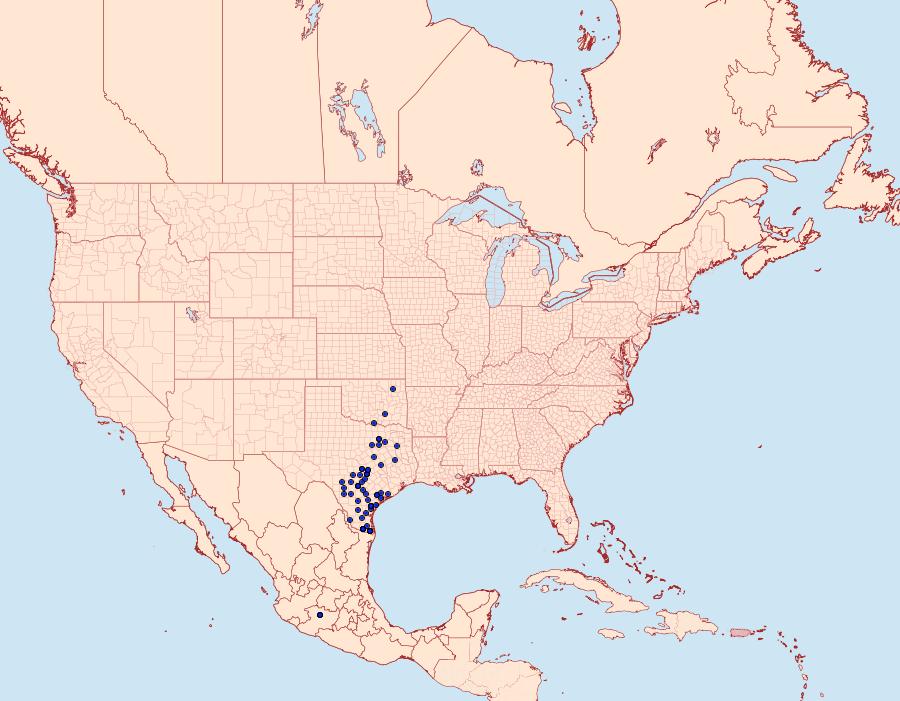 Distribution Data for Eantis tamenund