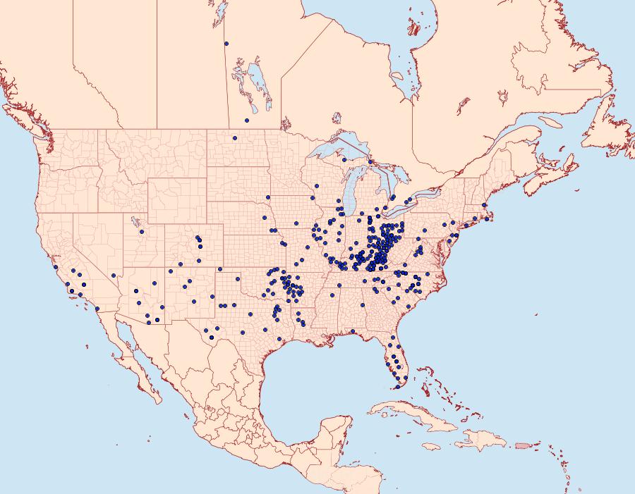 Distribution Data for Erynnis brizo