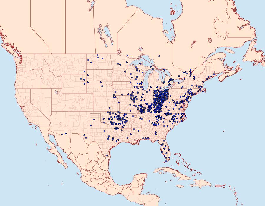 Distribution Data for Erynnis juvenalis