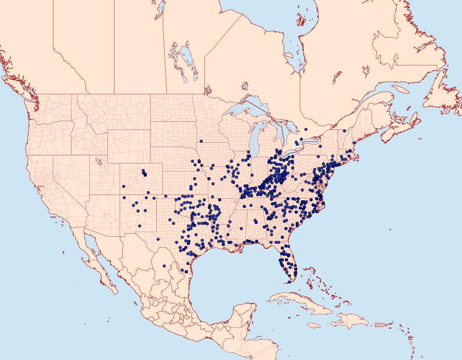 Distribution Data for Erynnis horatius