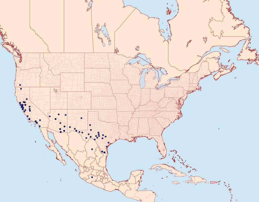 Distribution Data for Erynnis tristis