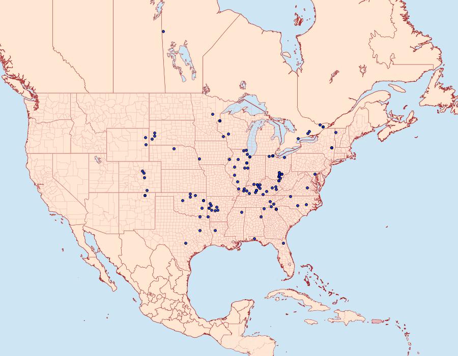 Distribution Data for Erynnis martialis