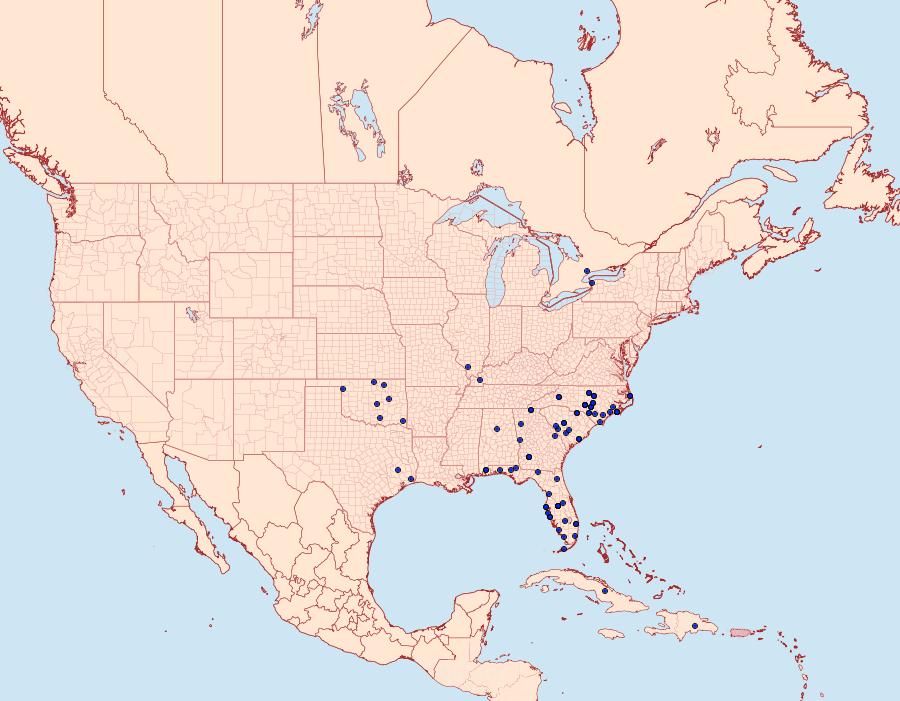 Distribution Data for Erynnis zarucco