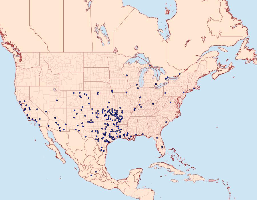 Distribution Data for Erynnis funeralis