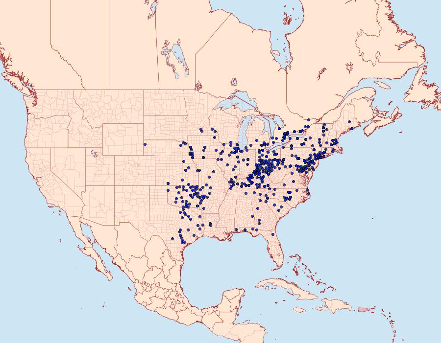 Distribution Data for Erynnis baptisiae