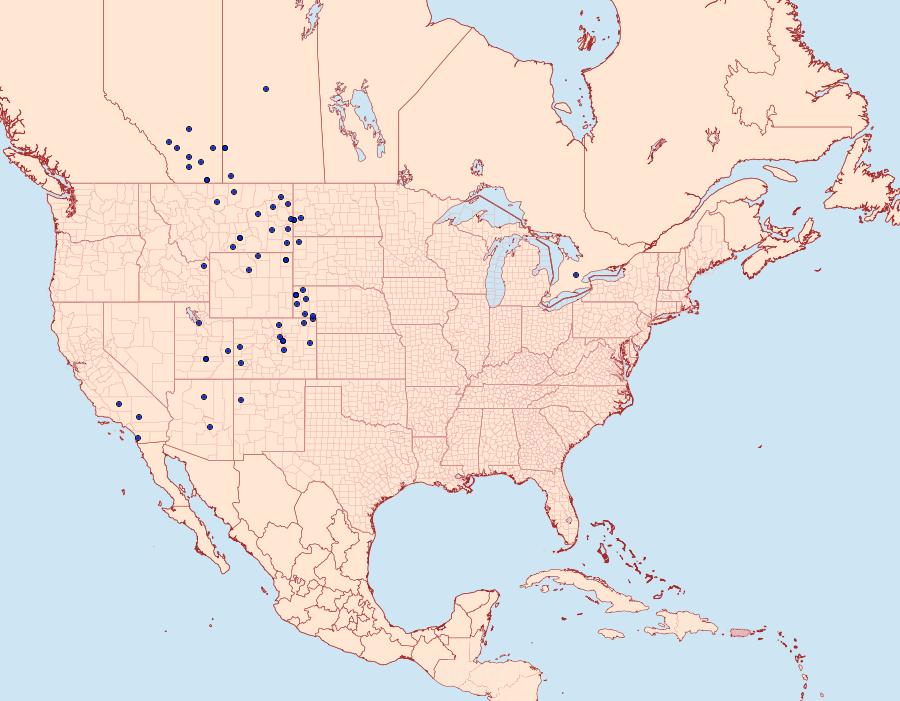 Distribution Data for Erynnis afranius