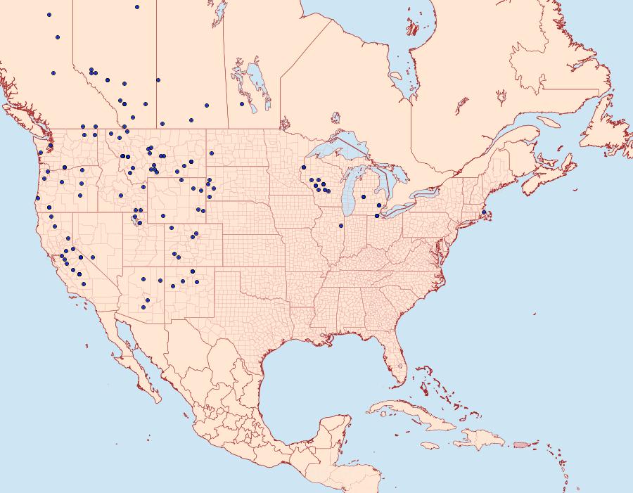 Distribution Data for Erynnis persius